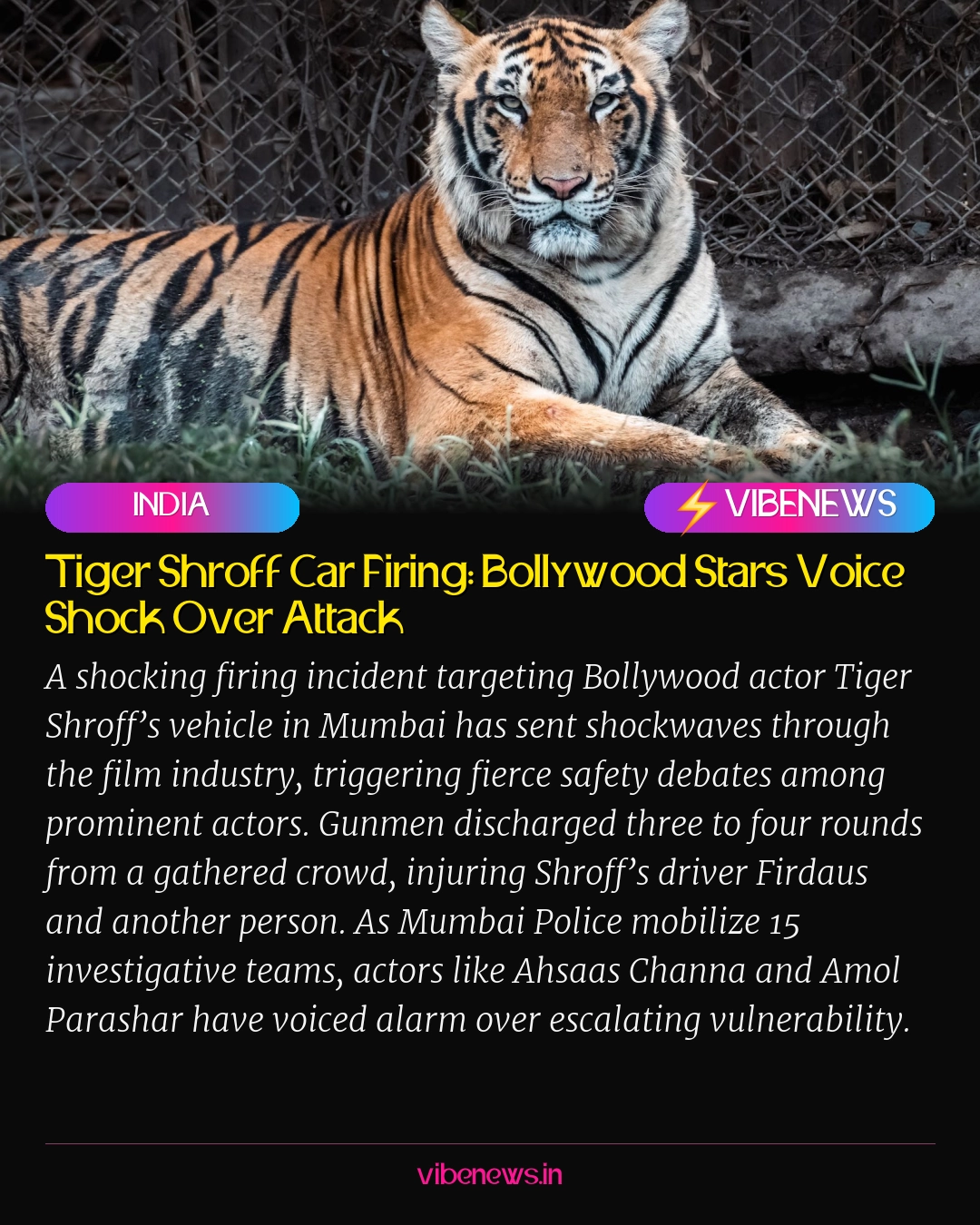 Tiger Shroff Car Firing: Bollywood Stars Voice Shock Over Attack