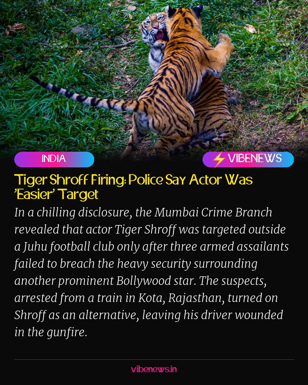 Tiger Shroff Firing: Police Say Actor Was ‘Easier’ Target