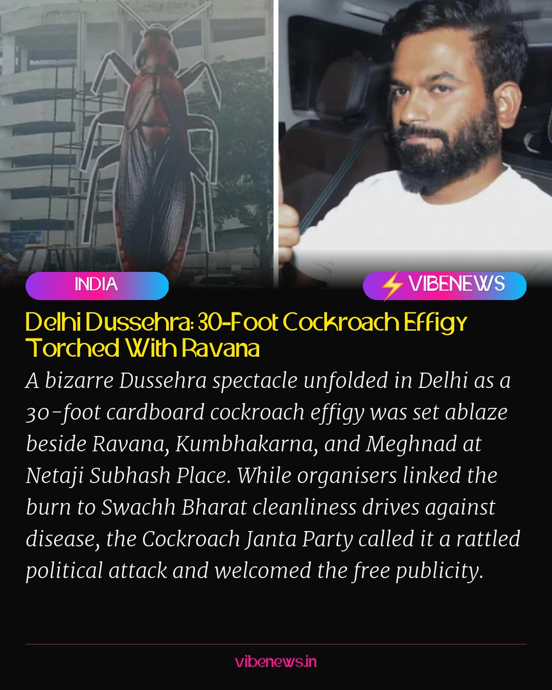 Delhi Dussehra: 30-Foot Cockroach Effigy Torched With Ravana