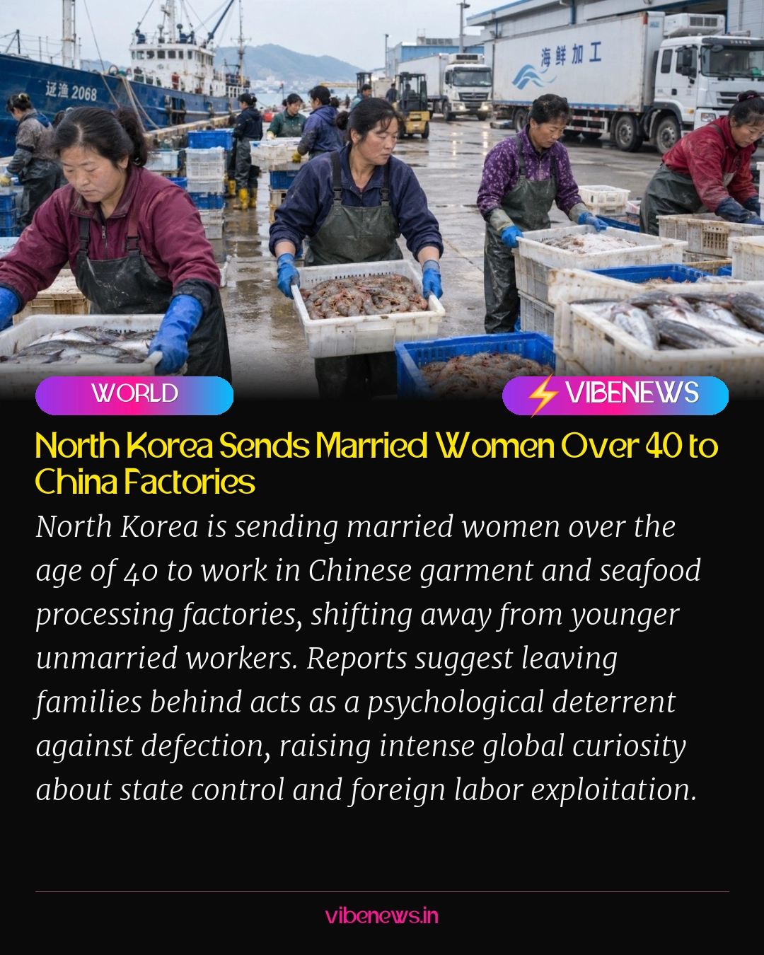 North Korea Sends Married Women Over 40 to China Factories