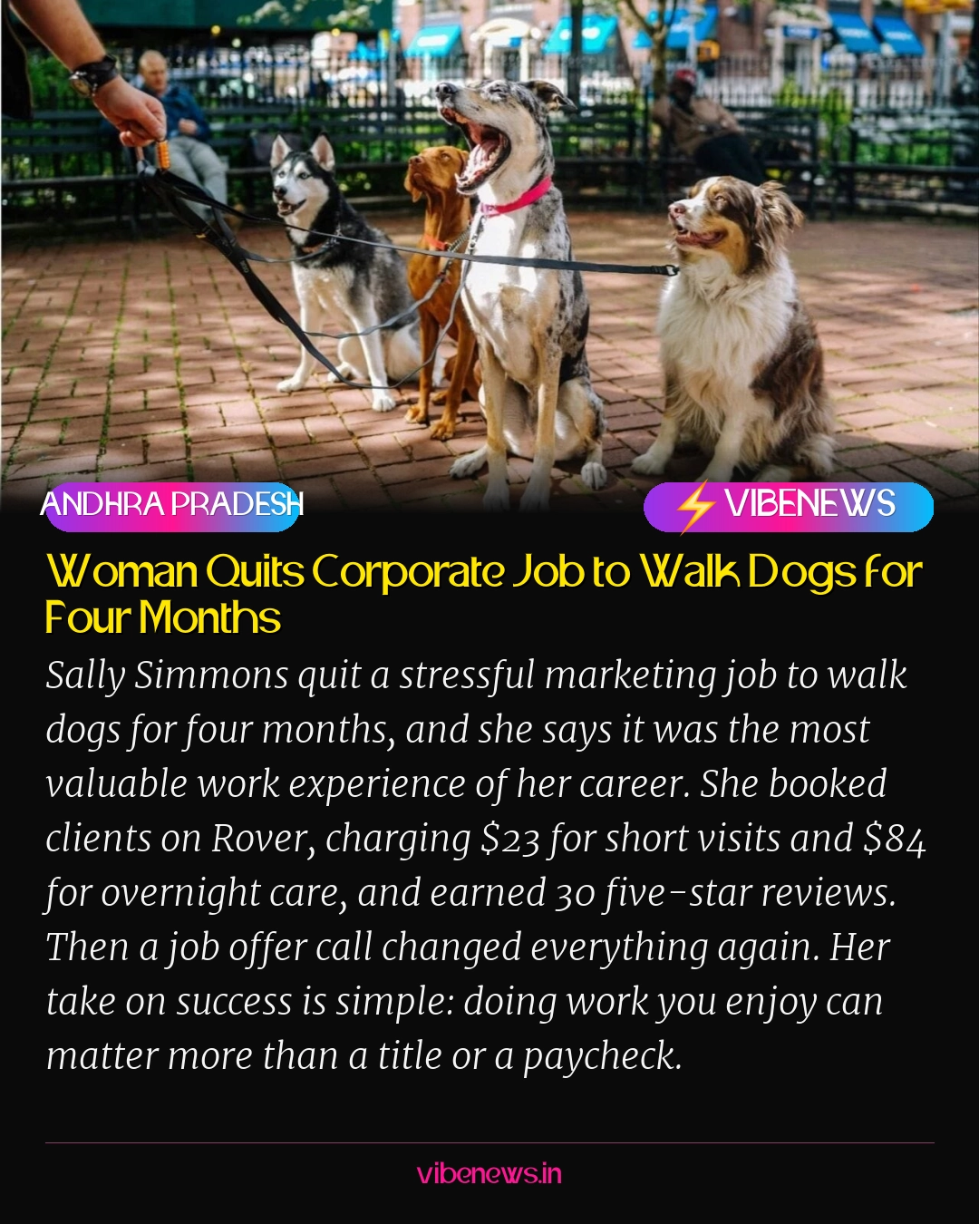 Woman Quits Corporate Job to Walk Dogs for Four Months